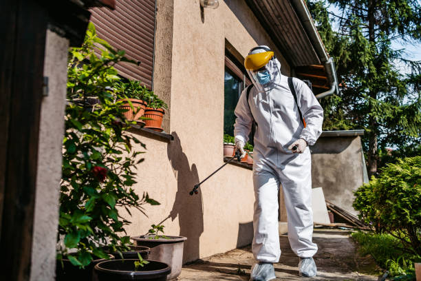 Best Mosquito Control Services  in Gardena, CA