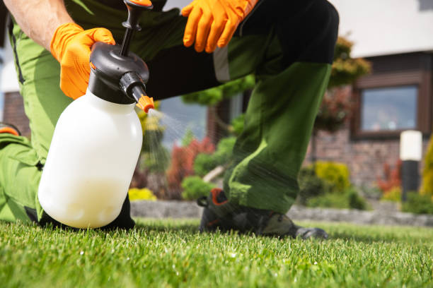 Best Termite Control Services  in Gardena, CA