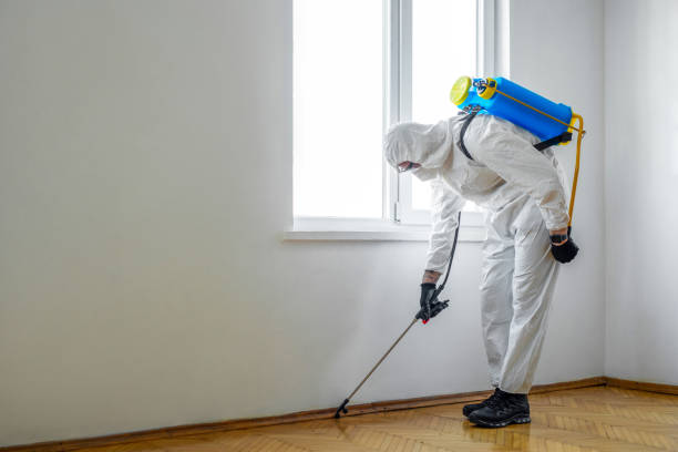 Best Local Pest Control Services  in Gardena, CA