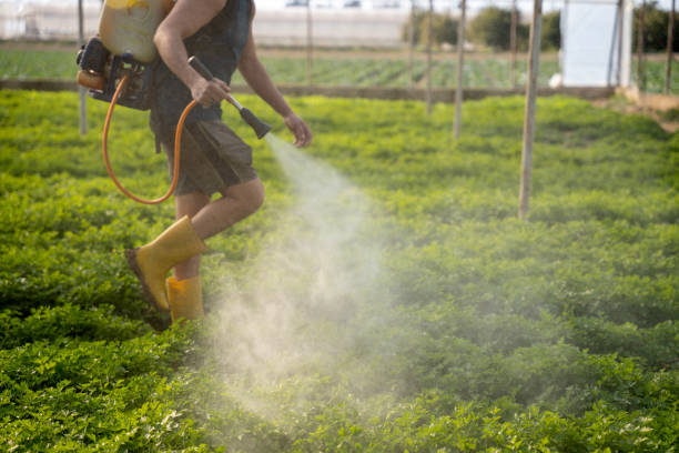 Best Pest Control Near Me  in Gardena, CA