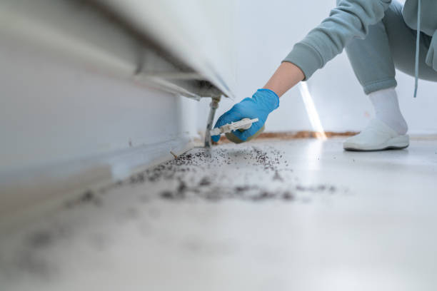 Best Commercial Pest Control Services  in Gardena, CA