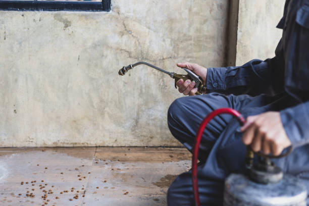 Professional Pest Control in Gardena, CA